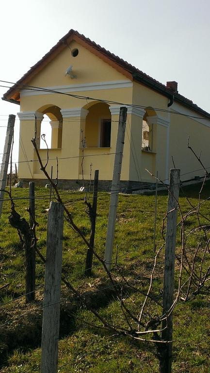 Kellerstoeckl Kamper Βίλα Eisenberg an der Pinka Εξωτερικό φωτογραφία