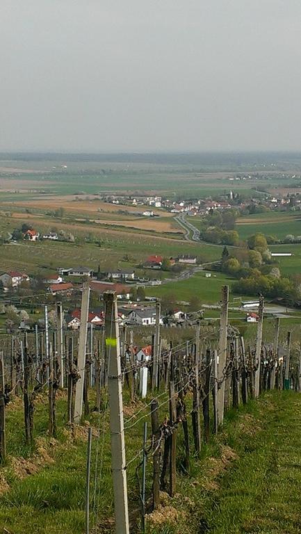 Kellerstoeckl Kamper Βίλα Eisenberg an der Pinka Εξωτερικό φωτογραφία