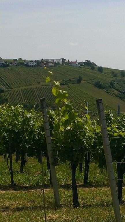 Kellerstoeckl Kamper Βίλα Eisenberg an der Pinka Εξωτερικό φωτογραφία