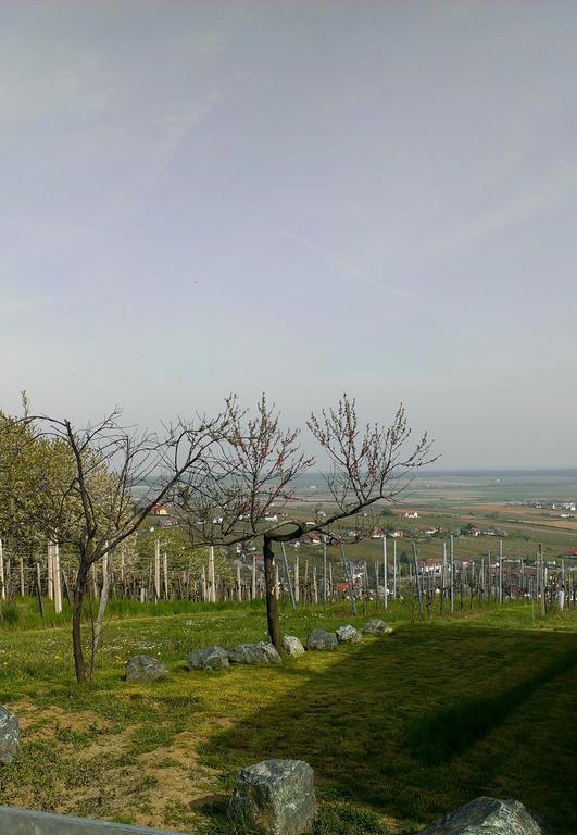 Kellerstoeckl Kamper Βίλα Eisenberg an der Pinka Εξωτερικό φωτογραφία